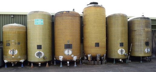 Row of fermentation vessels in cider brewery