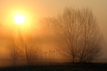 Naklejka premium Sonnenaufgang mit Nebel