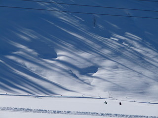 Lone figures skiing across a snow-covered field at the foot of a snowy slope with late afternoon  sun casting long shadows of trees in the Austrian ski resort of Filzmoos