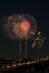 Fototapeta premium ２０１６ 板橋花火０１