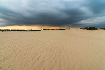 National park Loonse en Drunense Duinen in the Netherlands