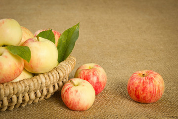 ripe apples in a beautiful wicker basket