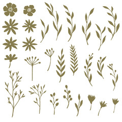 Fototapeta premium Hand drawn flowers and palnts