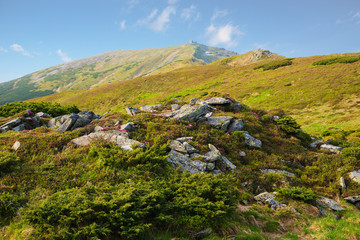 Fototapeta premium Black mountain views of the Carpathians..