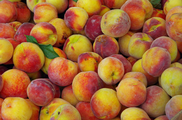 Yellow and red ripe peaches for market display
