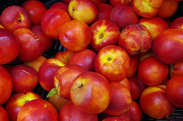 Nectarines  with yellow center piled for market close up view