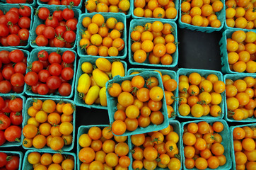 Red and orange cherry tomatoes displayed in green container pattern