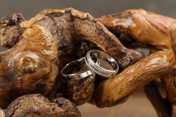 Wedding rings on wood