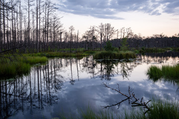 Fototapeta premium reflections in the lake water at sunrise