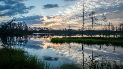 Fototapeta na wymiar reflections in the lake water at sunrise