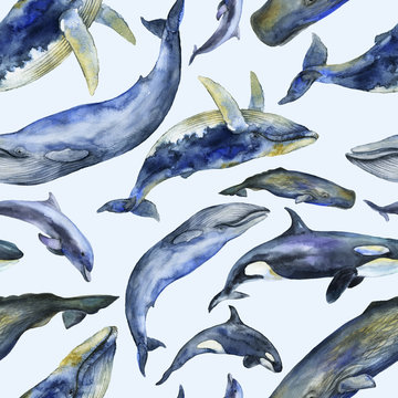 Marine Mammals Watercolor Pattern