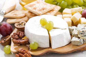 camembert, grapes and crackers, closeup