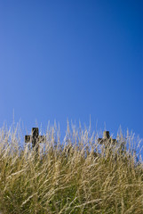 Two Grave Yard Crosses In Long Grass In Front of Blue Sky