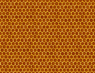 image of honeycomb closeup