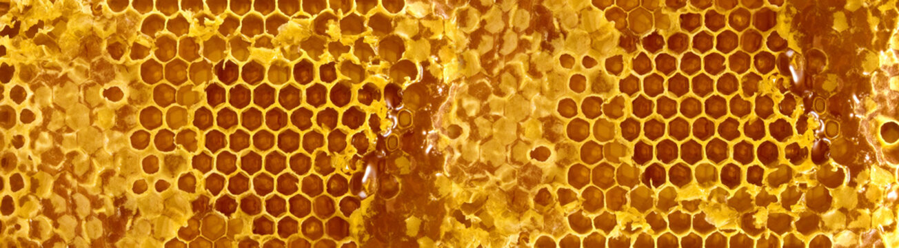 image of honeycomb closeup