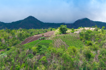 Fototapeta na wymiar Beauty scenic agriculture landscape, agriculture countryside Northern Thailand