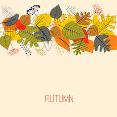 Background from autumn leaves