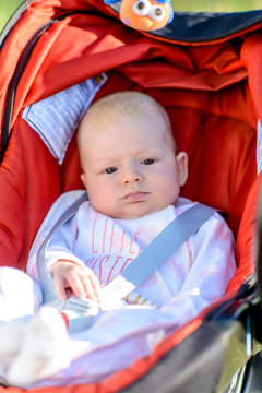 Adorable contented baby in a colorful red carrycot