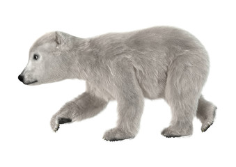 3D Rendering Polar Bear Cub on White