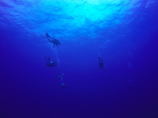 Group scuba divers diving underwater in sea: silhouette and sun