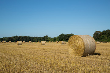 countryside view, rolls are on a field