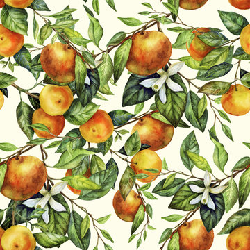 Sunny Mandarin Watercolor Pattern