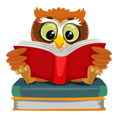 Vector Illustration of an Owl reading while sitting on the Books