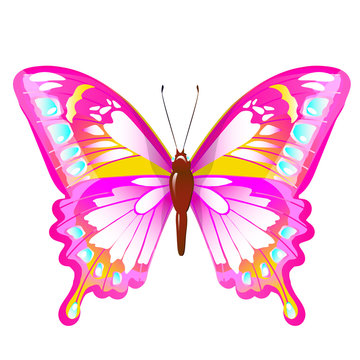 color butterflies,isolated on a white