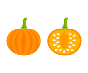 Pumpkin vector illustration