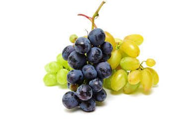Blue and green wet grapes bunch isolated on white background