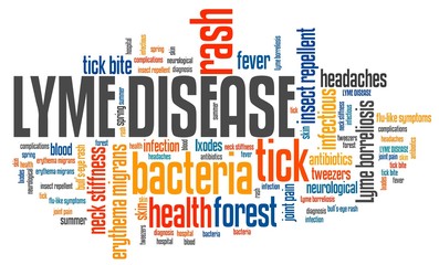 Fototapeta premium Lyme borreliosis
