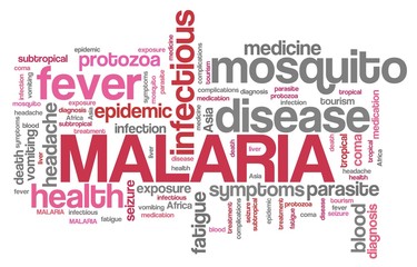 Malaria words