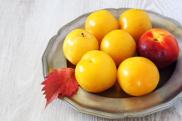 Yellow plums and red nectarine