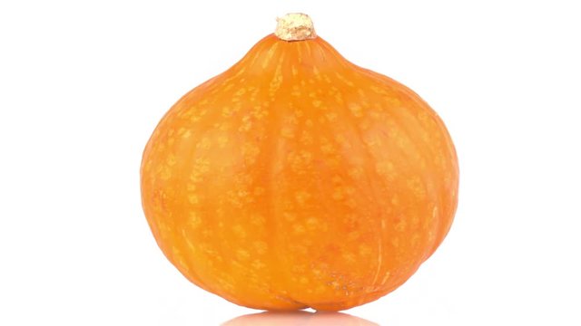 Ripe pumpkin rotate isolated on white background with reflection. Loopable. 4K UHD footage 3840x2160
