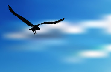 eagle silhouette