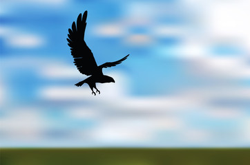 eagle silhouette