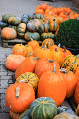 Pumpkins on seasonal market in Germany  
