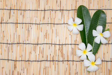 Obraz premium White plumeria and leaf on bamboo mat