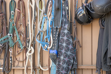 Details of diversity used horse reins