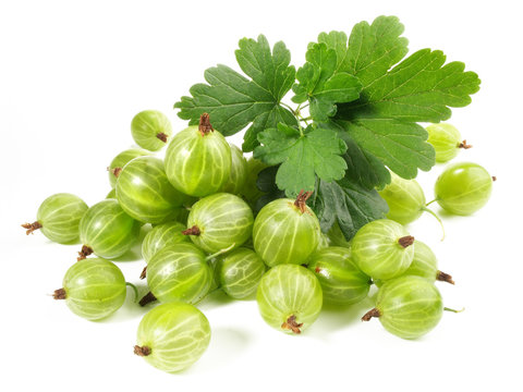 Stachelbeeren