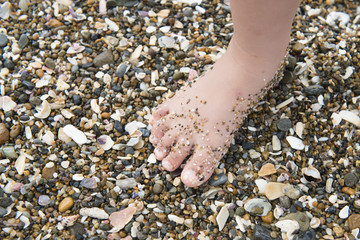 海で遊ぶ子供の足