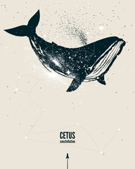 Whale constellation space poster - obrazy, fototapety, plakaty