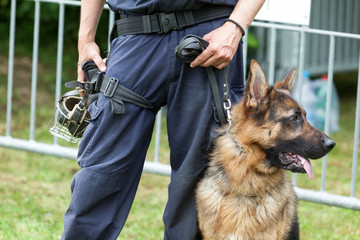 Policeman with a German shepherd on duty. Police dog. 