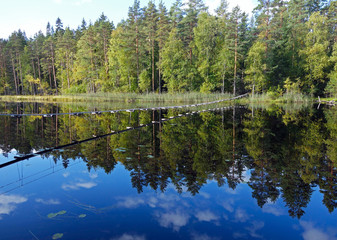 Summer landscape with forest lake and wooden hanging bridge. Karelia