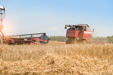 Fototapeta premium combine harvester on a wheat field with blue sky