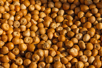 Pattern with brown nuts
