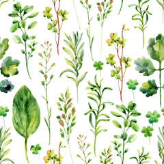 Fototapeta na wymiar Watercolor meadow weeds and herbs seamless pattern