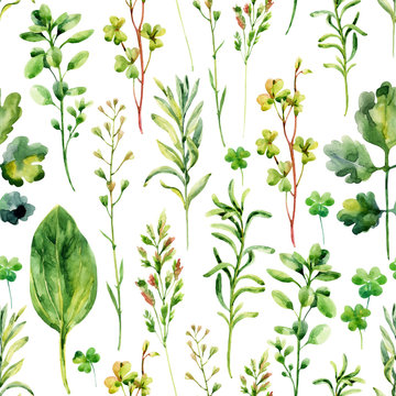 Watercolor meadow weeds and herbs seamless pattern