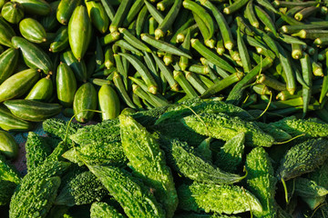 Green vegetables ladyfingers and karela - obrazy, fototapety, plakaty