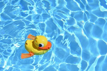 Background for summer holiday, traveling and vacation. Yellow rubber duck in the home pool.